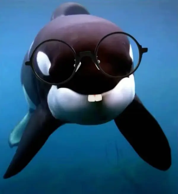 Avatar of orcinusorca