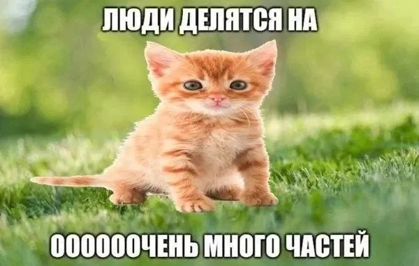 Avatar of vspoloh