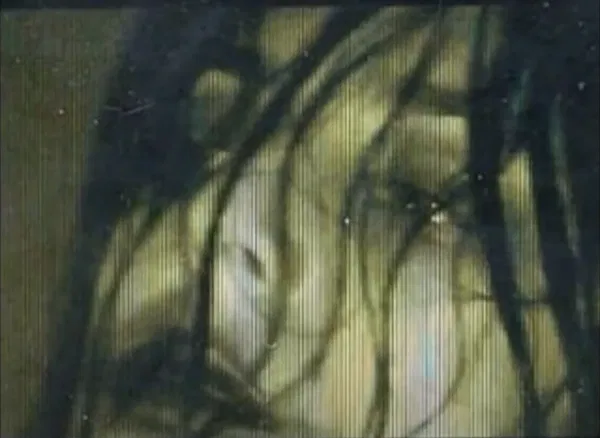 Avatar of HakimOptical_