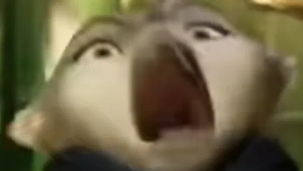 Avatar of J9KA