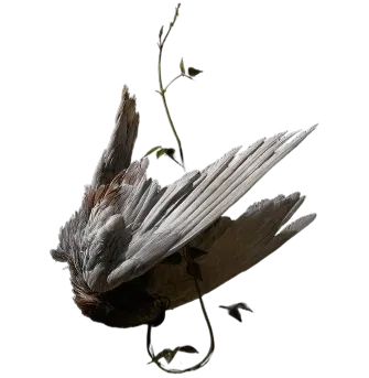Avatar of Wispful