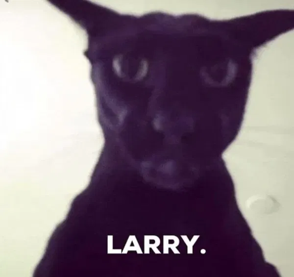 Avatar of Creepercypro_YT