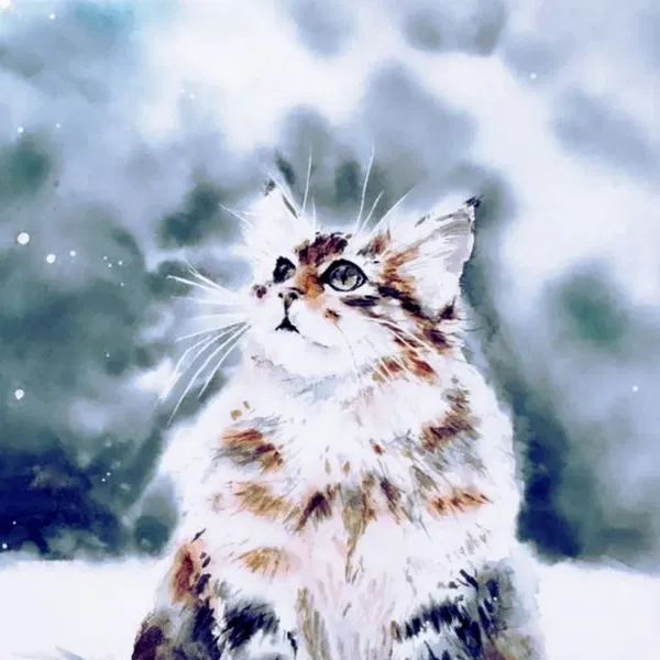 Avatar of Snowow7