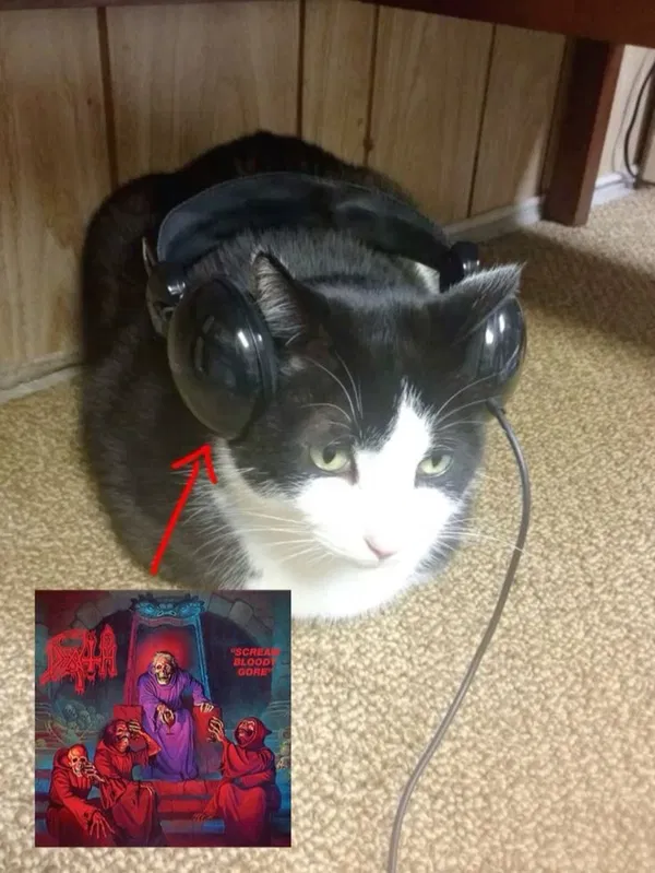 Avatar of deviwman