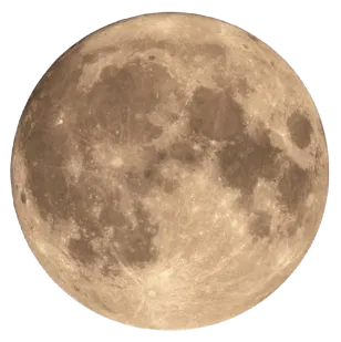 Avatar of Moonlight_Serenade