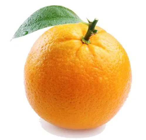 Avatar of 🍊 orange🍊