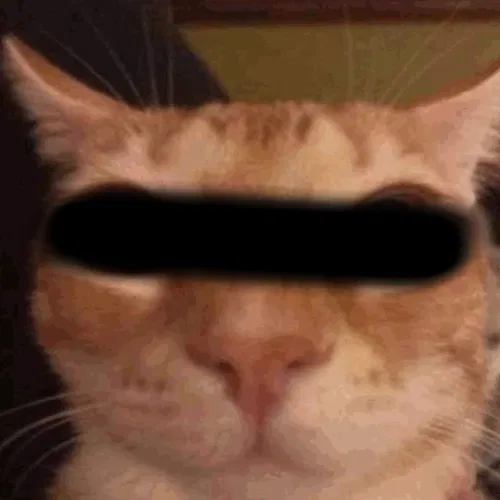 Avatar of Anonymous_Cat