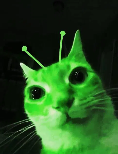 Avatar of Zk.Yhszin