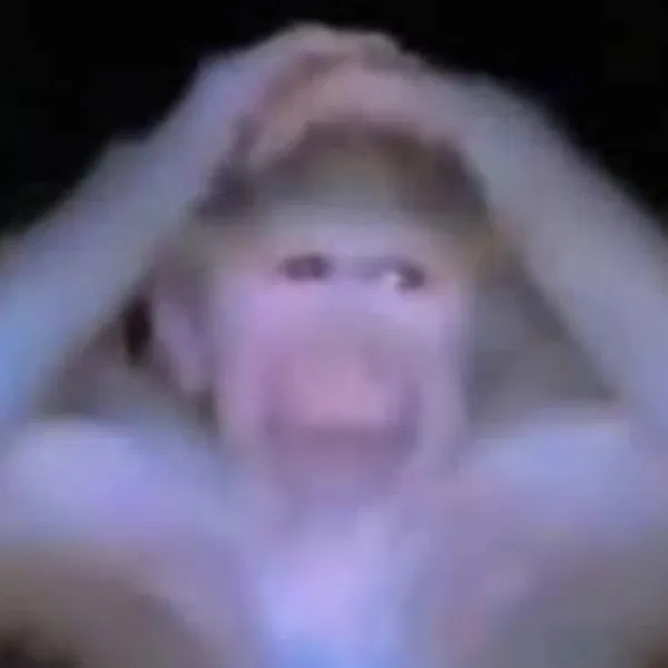 Avatar of PointTrue 
