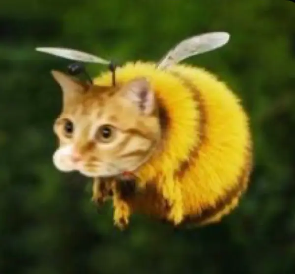 Avatar of BuzzyBee247