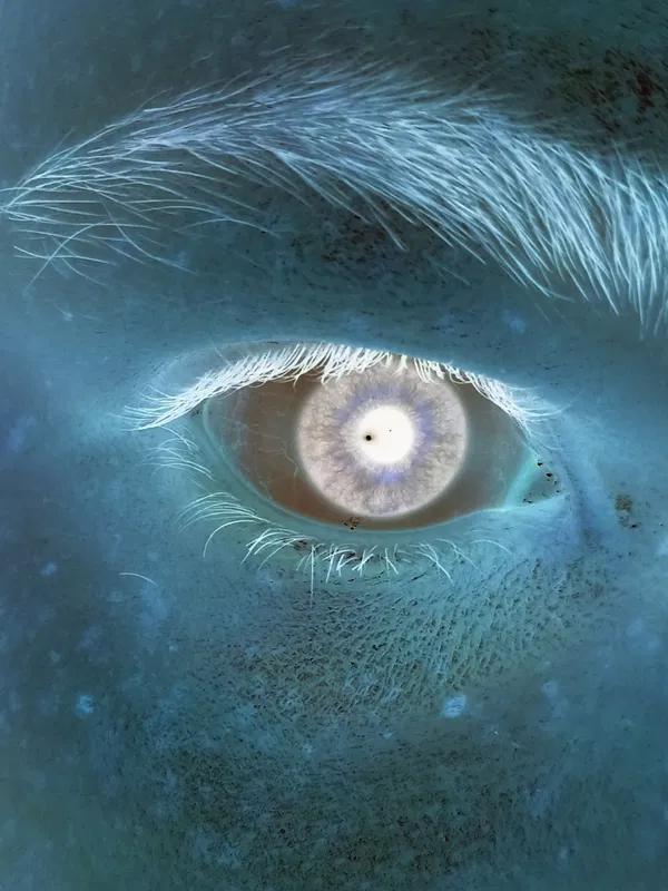 Avatar of MatrixSystem