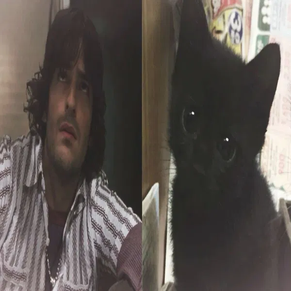 Avatar of kkolbz