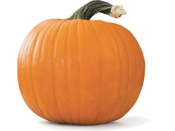 Avatar of Pumpkinman