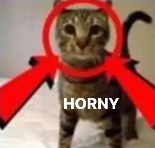 Avatar of bunnyphelis