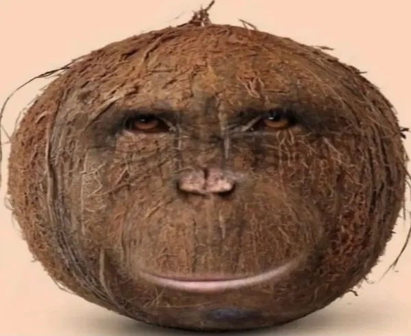 Avatar of Ginnnnnnel