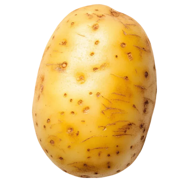 Avatar of MASHED_POTATO