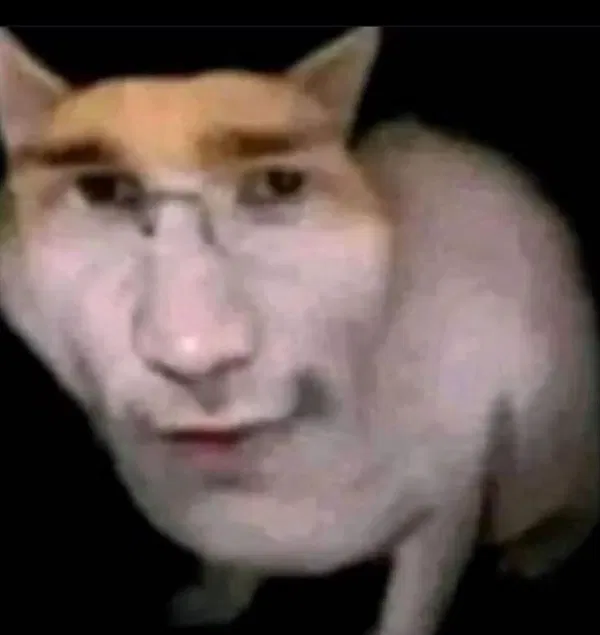 Avatar of William Dein
