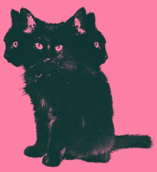 Avatar of idontknowwhytfimhere