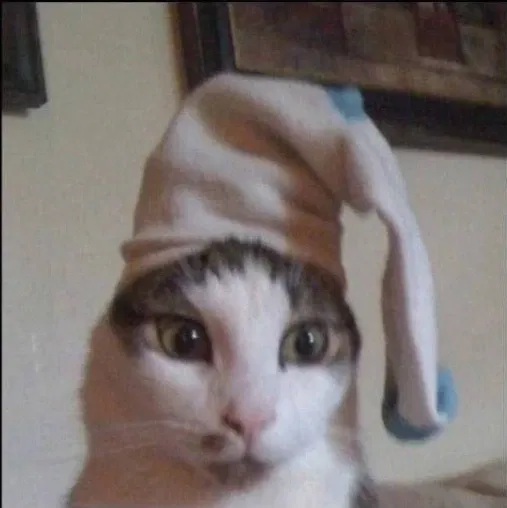Avatar of nosoksosok