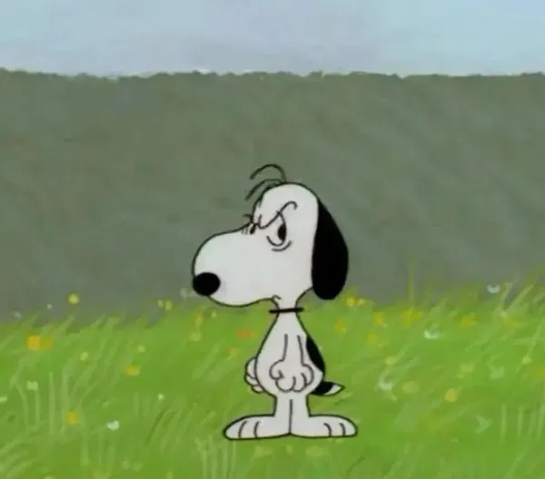 Avatar of anna&snoopy