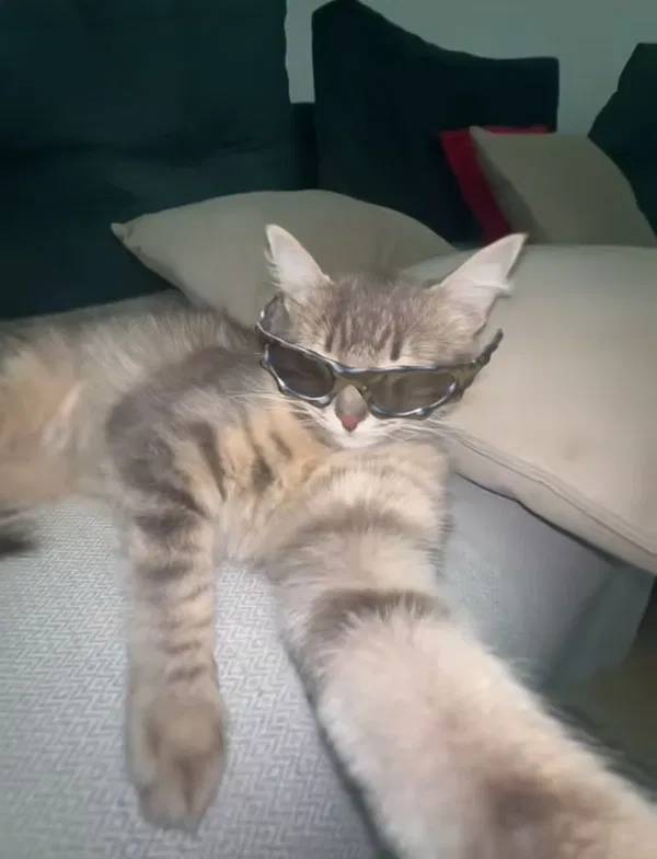 Avatar of badahh_kitty