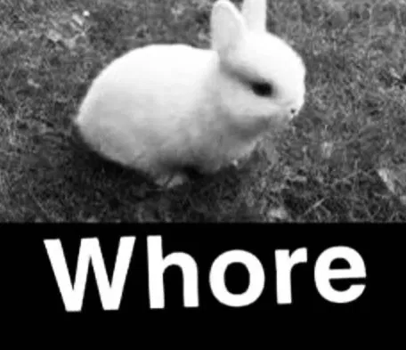 Avatar of Bun_Buns