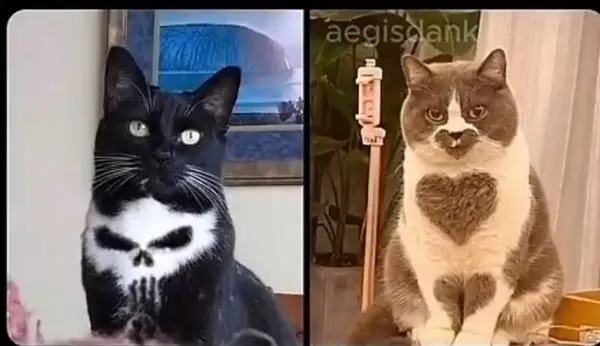 Avatar of epiccoolhuman