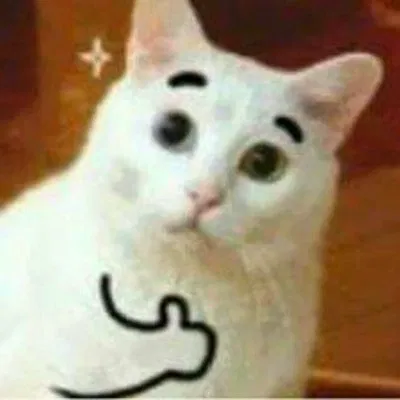 Avatar of Squelp