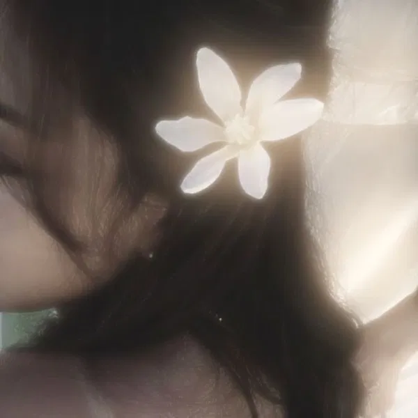 Avatar of rose019
