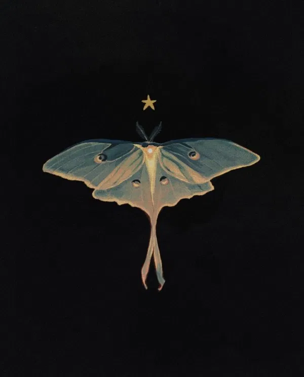 Avatar of MindlessMoth