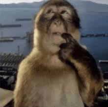 Avatar of Mimi657
