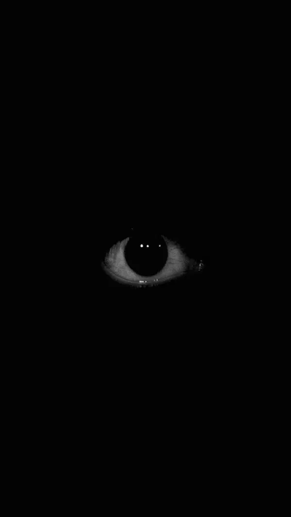 Avatar of anr444