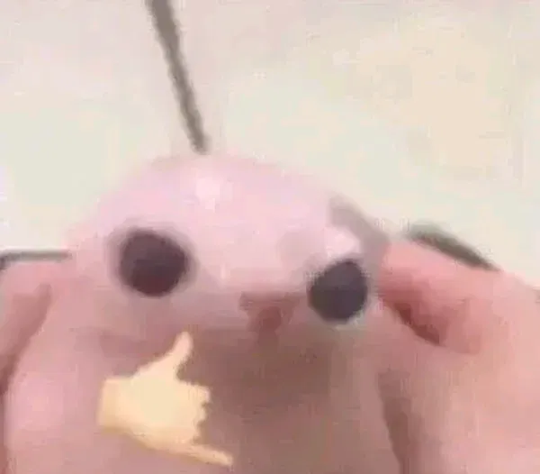Avatar of Good_Soup0