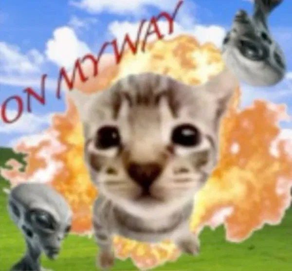 Avatar of anonMeow