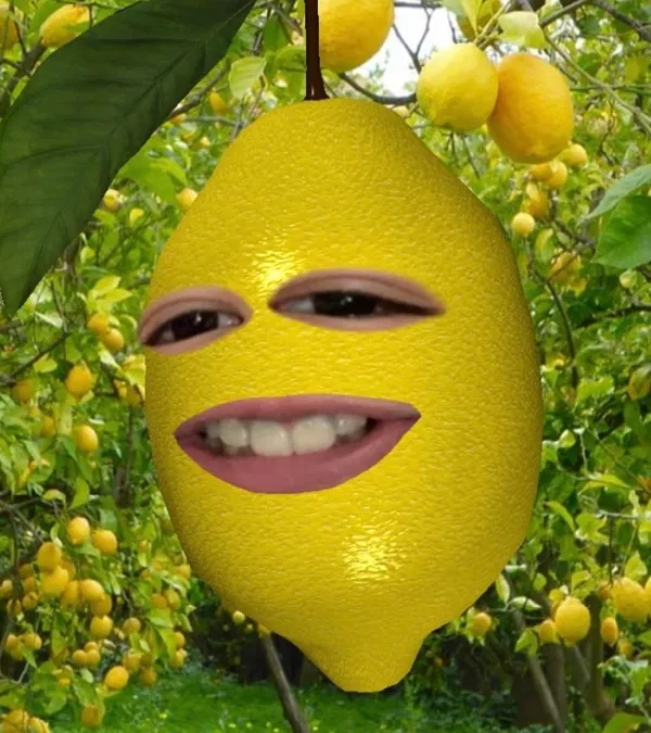 Avatar of Lemonman0985