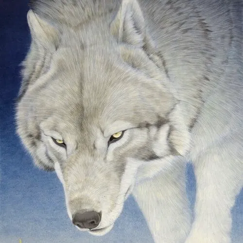 Avatar of mywolfpack