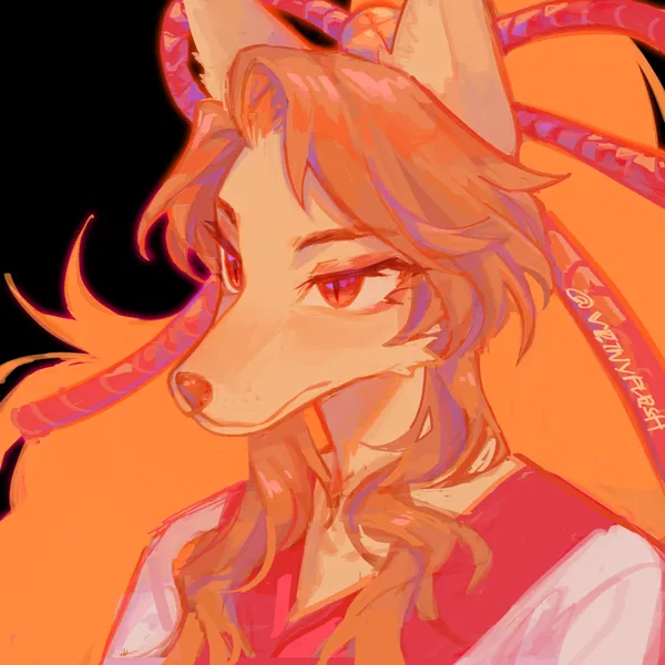 Avatar of sh3lls