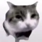 Avatar of ElRealJisus