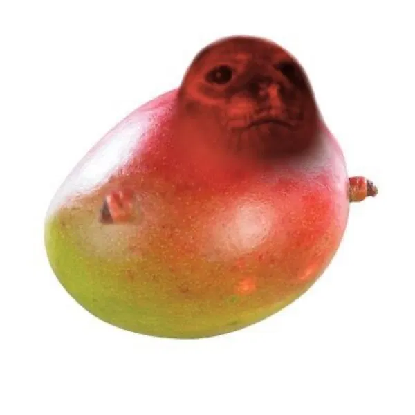 Avatar of alexander69