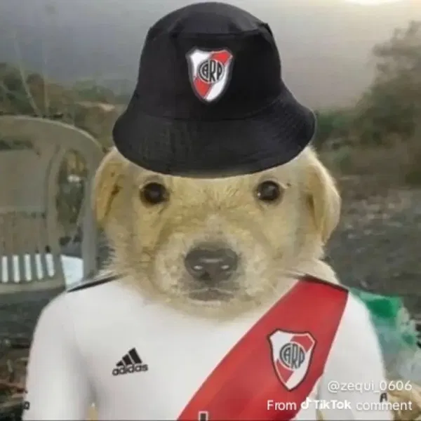 Avatar of Cachorraothegoat
