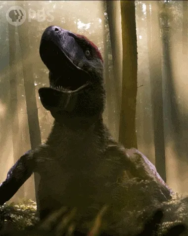 Avatar of RaptorGuy98