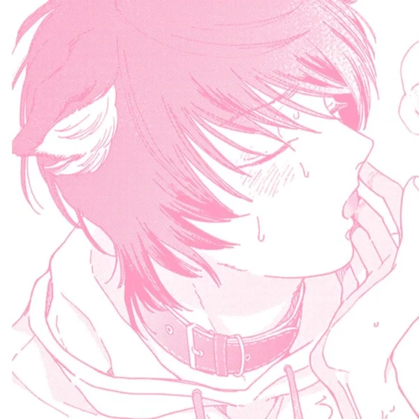 Avatar of shinpup