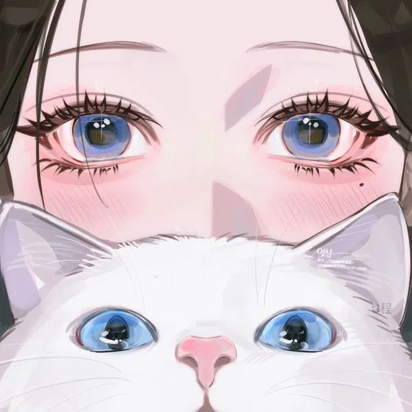 Avatar of Tayochan