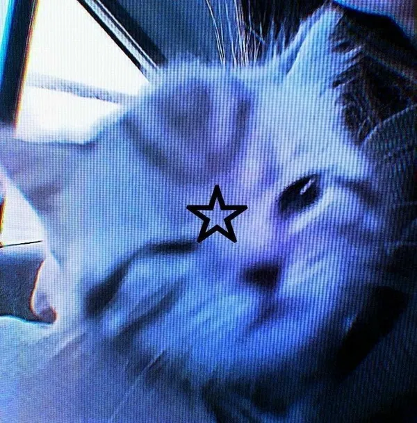 Avatar of M4rius_a