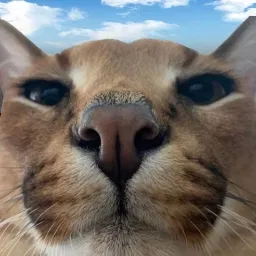 Avatar of abrishbvv