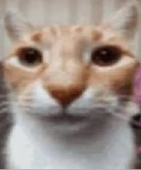 Avatar of Nerf733