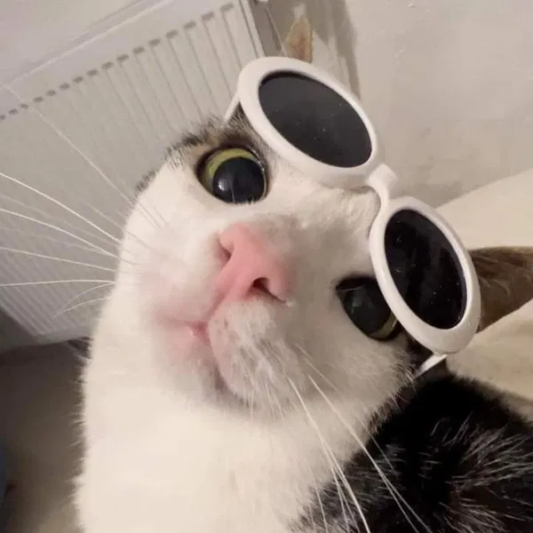 Avatar of Fyghbhtfhvjv