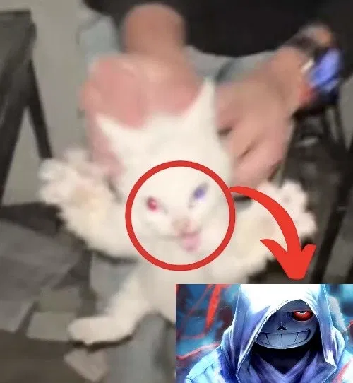 Avatar of Dustsnaz