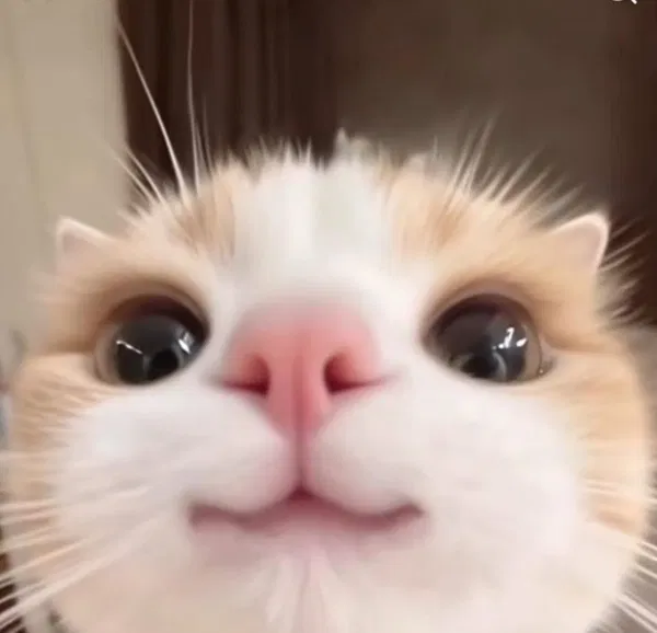 Avatar of VzJose_1