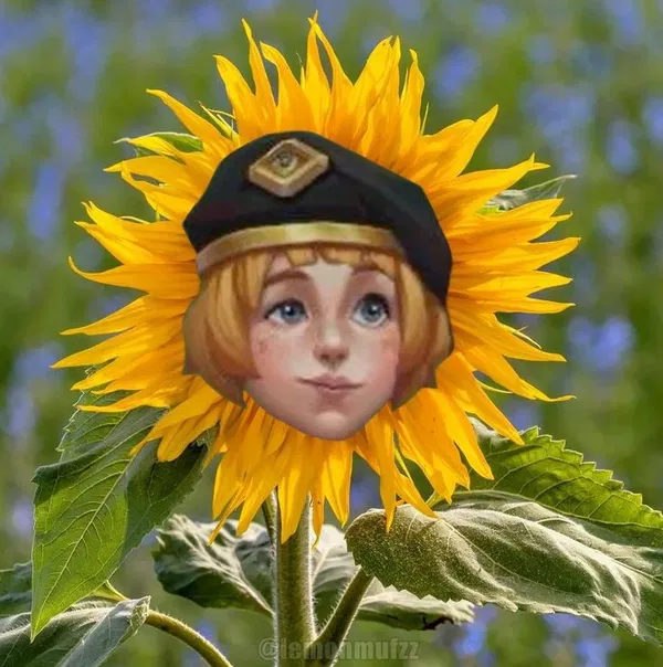 Avatar of coiico